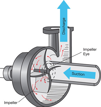 Electric water pump system: (a) configuration and major components